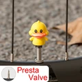 PV7