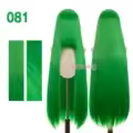 081