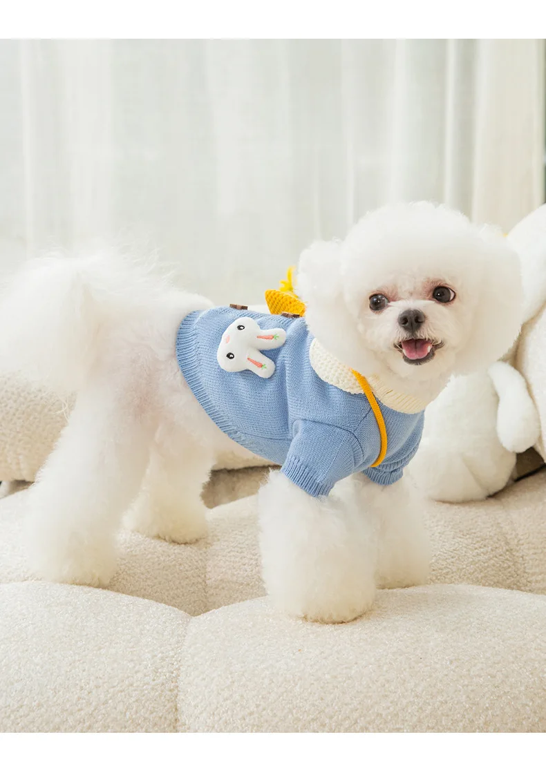 Cute Patterned Knitted Sweaters For Dogs