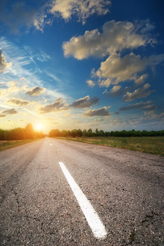 thumbnail image 1 of Fondo de fotografía de retrato para niños y adultos con carretera de Laeacco, camino sinuoso sin fin, paisaje natural, campo, árbol frondoso, 1 of 5