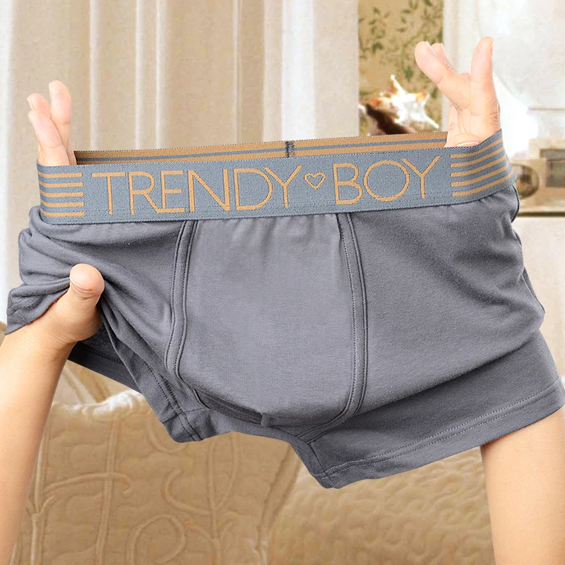 Boxer Shorts Mens Panties Cotton Men's Underwear Breathable Man Boxers Comfortable Letter Belt Men Underpants Large Size L-6XL 100kg men s boxer panties big size 4xl loose underpants cotton plus size soft elastic breathable underwear boxers male shorts