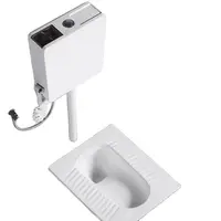 *~L Household Ceramic Squatting Pan Flushing Cistern Whole Set Potty Chair Style Toilet Squat Toilet 1