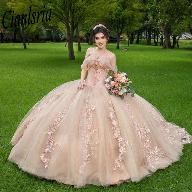 Vestido De fiesta De quinceañera con cuentas para mujer, traje De baile De  graduación con lentejuelas, 15 años, 2023 - AliExpress