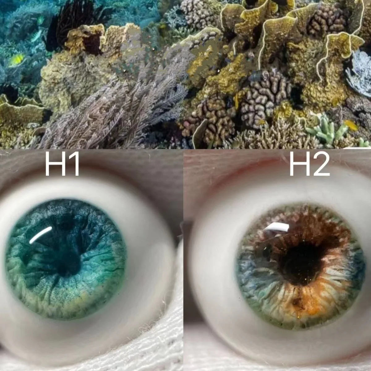 

1/3 1/4 1/6 BJD eyeball, 12mm14mm16mm18mmunderwater world series plaster eyes,homemade wholesale and retail doll eyes 6 pair/lot