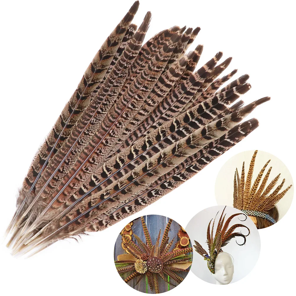 25-30cm Pheasant Tail Feathers 10Pcs 1