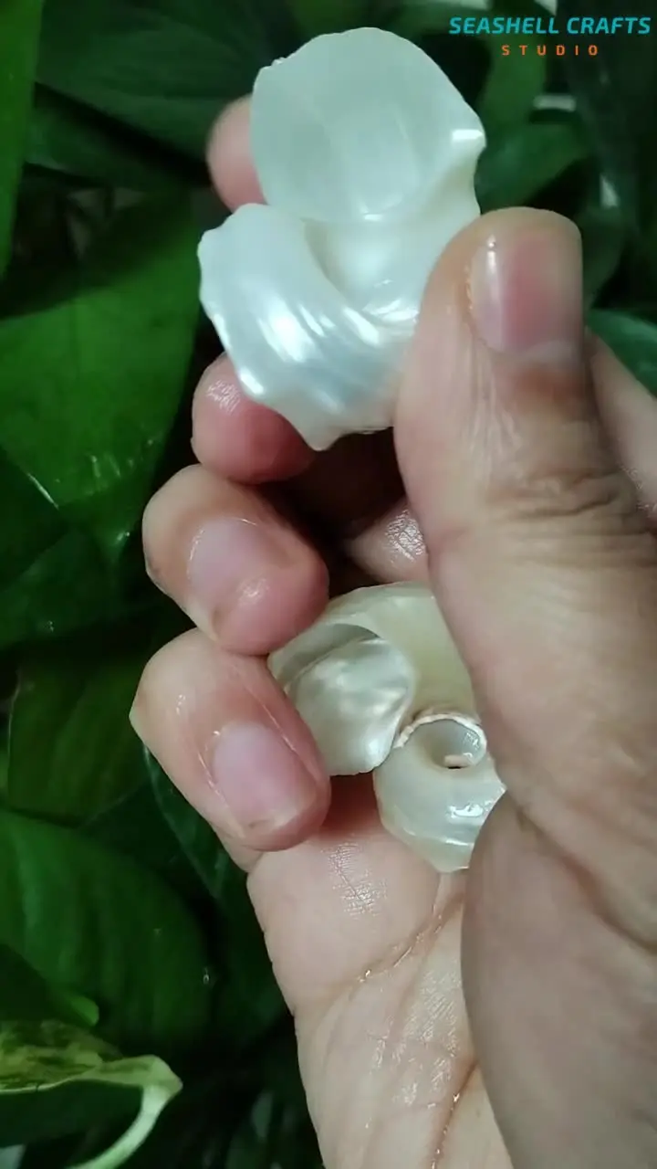 5 шт. Светящиеся белые ракушки морской кончик для декора