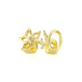 Gold Color