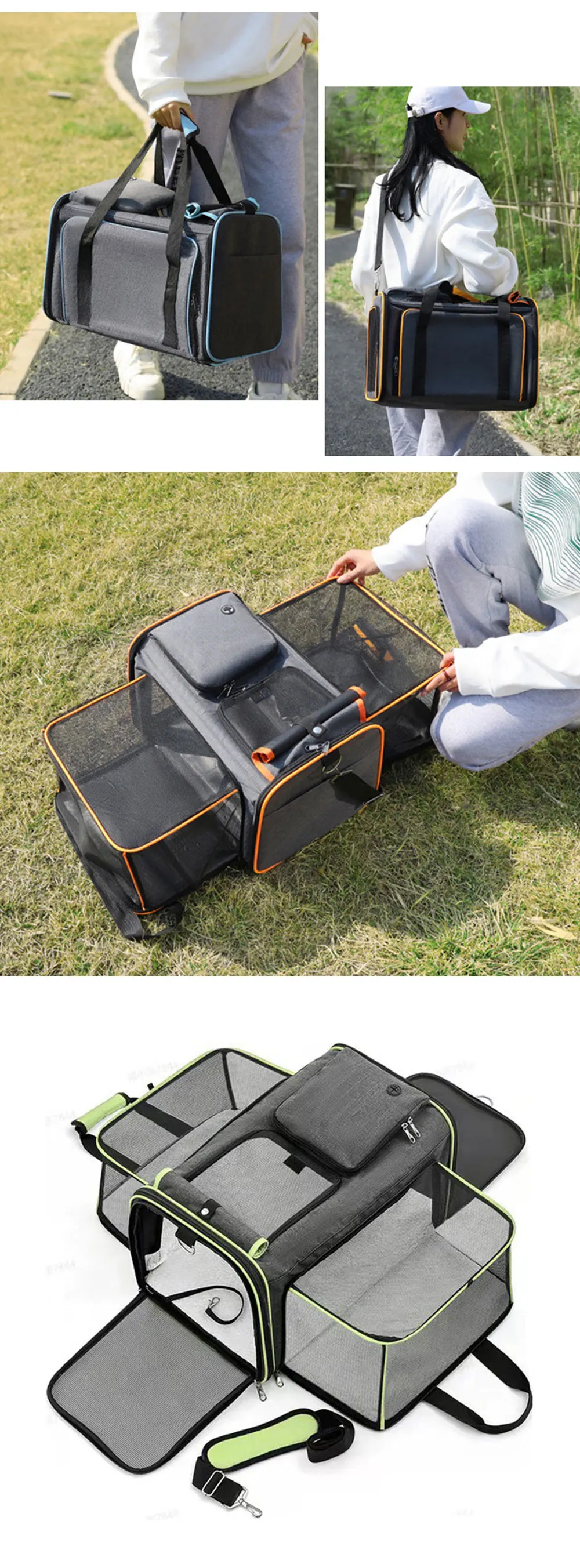 Title 4, Large Capacity carrier Cat Pet Airlines approve...