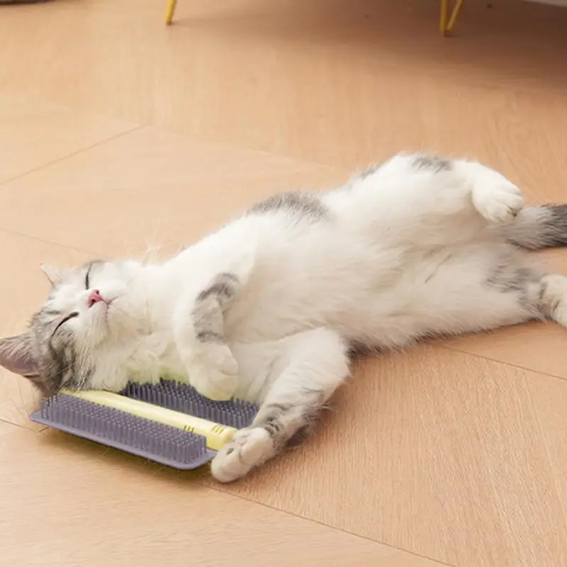 Cat Corner Groomer Grooming Cat Brush with Catnip Interactive Kitten Toy Massage Brush Wall Scratcher for Indoor Cats