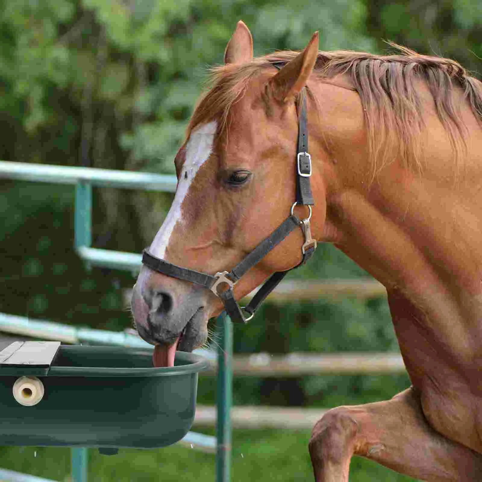 

Automatic Cow and Sheep Drinking Water Bowl Cow Water Feeder Water Dispenser Automatic Horse Waterer Livestock Trough Tool
