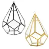 Five-sided Rhombus Glass Container Desktop Succulent Garden Flower Pot Moss Fern Swing Cover Plant Pot Air Plants 4