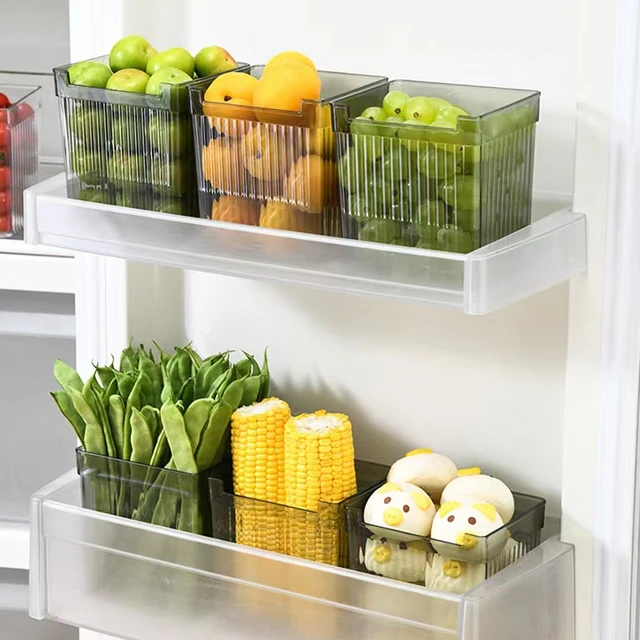 Freeze Food Plastic Containers  Container Food Refrigerator - 4pcs Mini  Refrigerator - Aliexpress