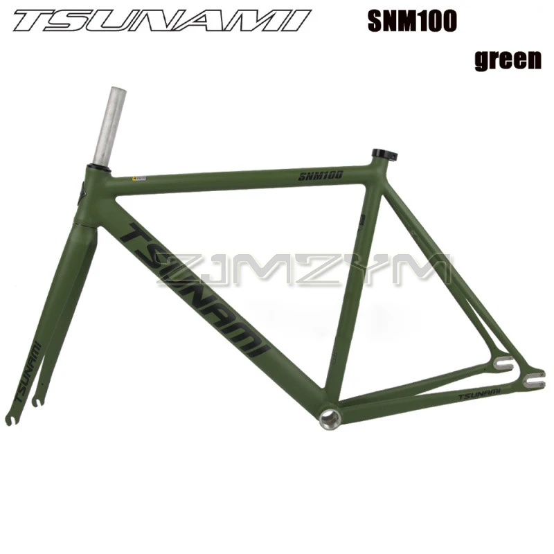 TSUNAMI SNM100 Chameleon 55CM　フレーム TSUNAMI SNM100 Bicycle Frame Single Speed Fixed Gear