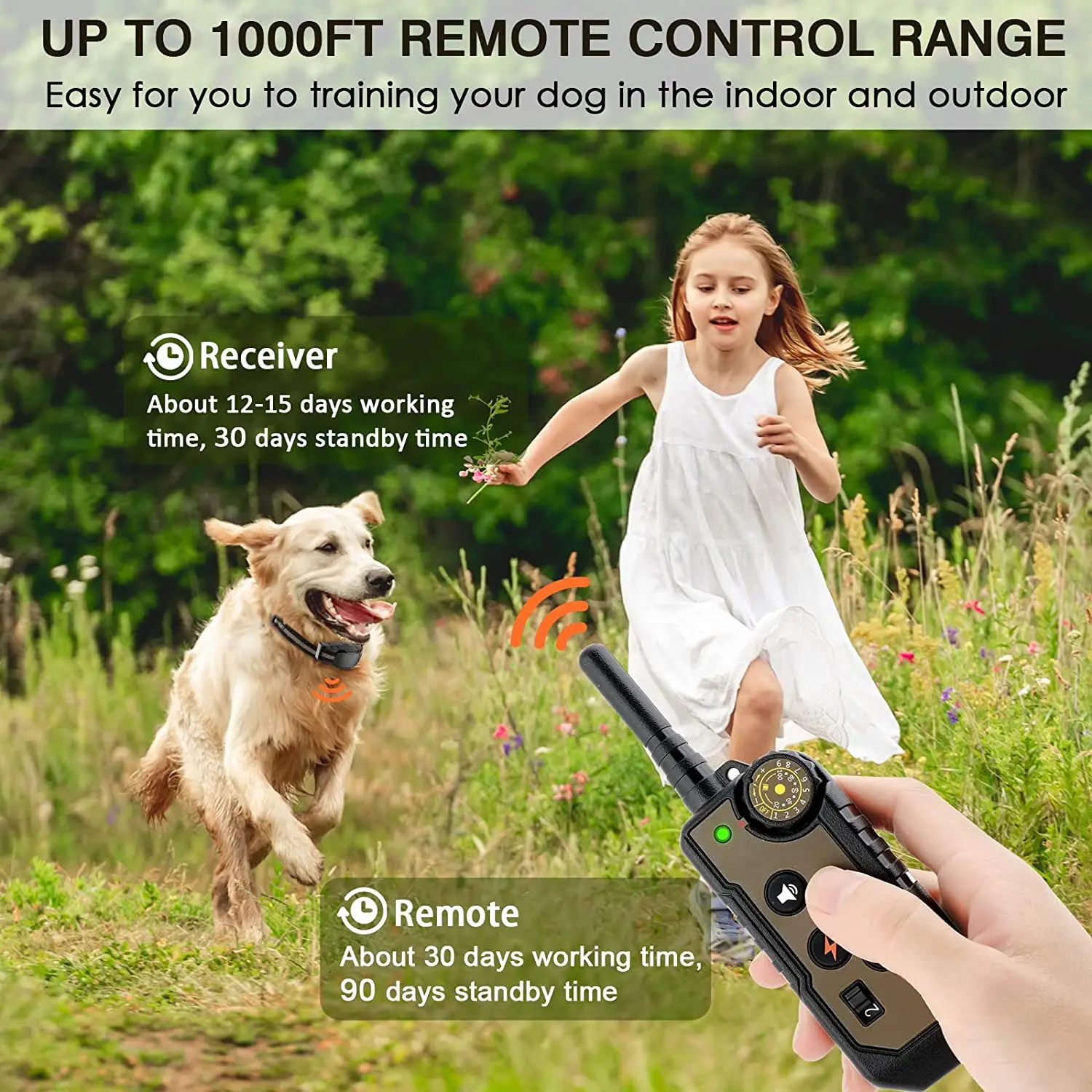 waterproof collar receiver