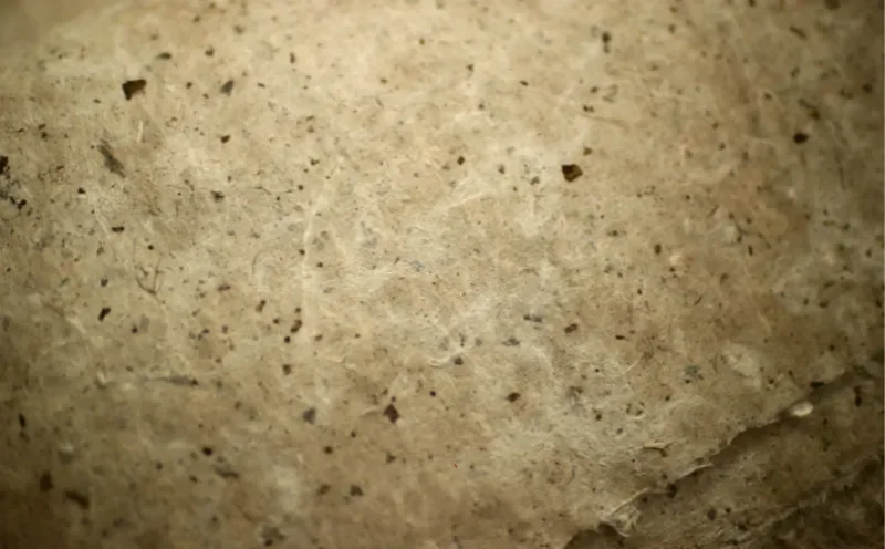 Chinesisches Reispapier Rijstpapier Reines Maulbeerpapier Antike Methode Handgemachte Kalligraphie Malerei Faser Xuan Papier Xuanzhi Papel – Detail 3