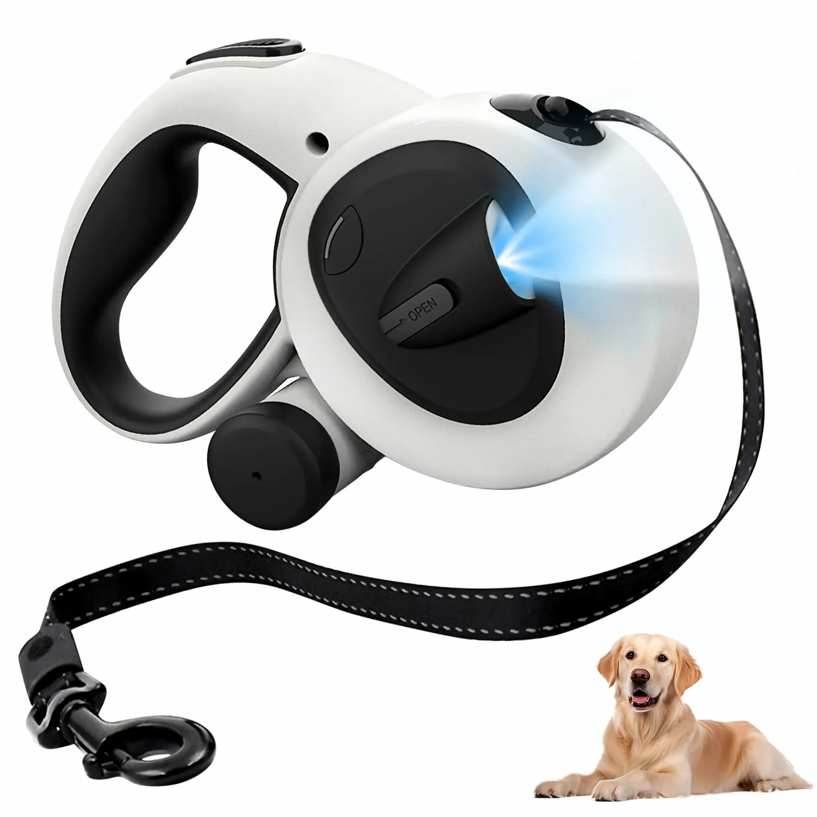 Collier de chien personnalisé et laisse colliers de chiens gravés