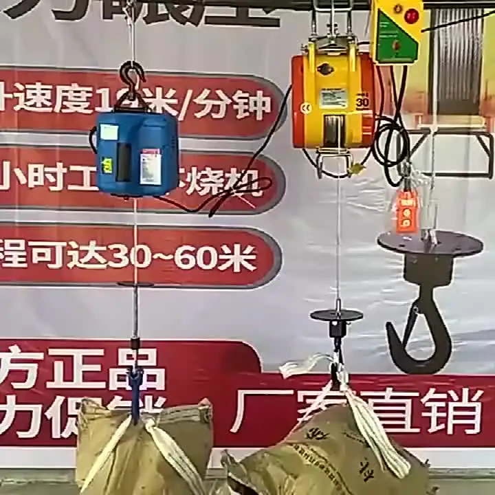 Миниатюрный электрический подъемник King Kong 220V