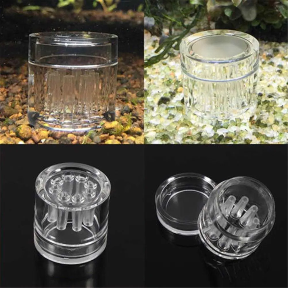 8 Hole Snail Trap Transparent Leech Vivarium Planarian Pest Catch Pen Red Bee Shrimp Worm Bait Feeding Box Aquarium Cleaner Tool