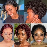 Perruque Pixie Cut Cheveux Humains Ondulés Effet Mouillé avec Dentelle Transparente 13x1, Perruques Courtes Bob pour Femmes, 250% de Réduction 6