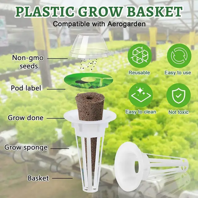 Cilantro Growing Kit Hydroponic Growing Kit 120pcs Aerogarden