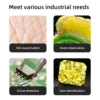 Digital Microscope Wireless Pocket Handheld USB Microscopes 1000X Zoom Fixed Focus HD Magnifier with LED For iPhone Android PC 4