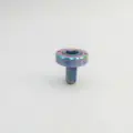 Rainbow  cap bolt