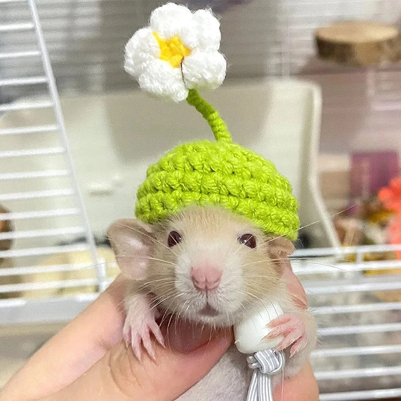 Cute Pet Knitted Mini Hat Small Animal Clothing Accessories For Hedgehog Hamsters Hat DIY Hand-Knitted Pet Headdress small animal clothes pet headgear