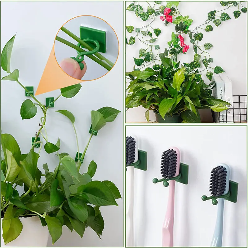 Plant Climbing Wall Self-Adhesive Fixed Buckle Hook Fastener Tied Fixture Vine Buckle Hook Garden Plant Wall Climbing Vine Clips plant clips,plastic plant clips