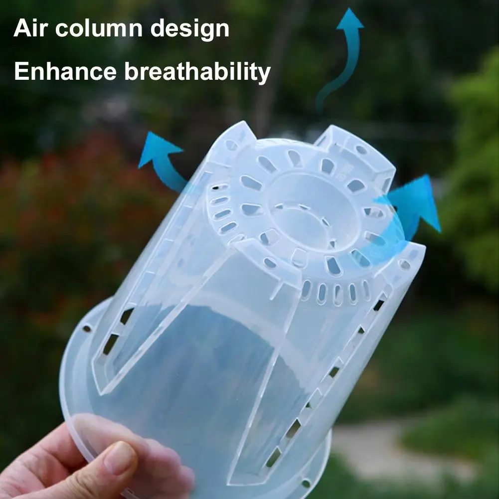 Clear Permeable Plant Pot – Large Capacity and Breathable Design