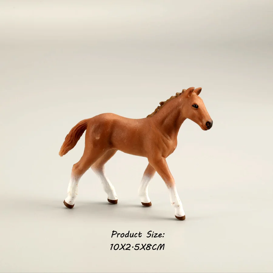 Horse 12