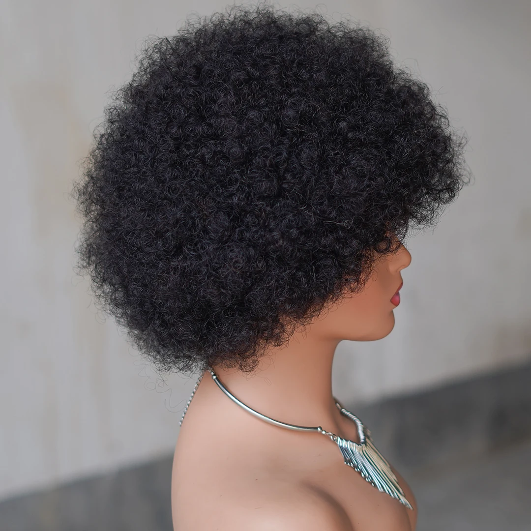 Glueless Afro Kinky Curly Wig Human Hair for Women Short Fluffy Curly Wigs Human Hair Pixie Cut Afro Wig for Black Women