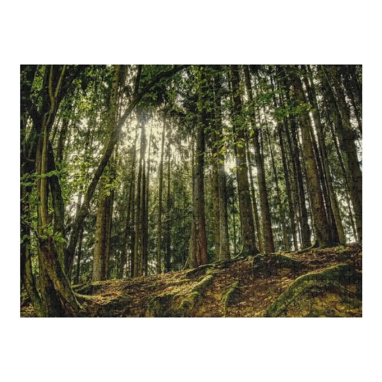 

Forest Jigsaw Puzzle Wooden Animal Anime Puzzle