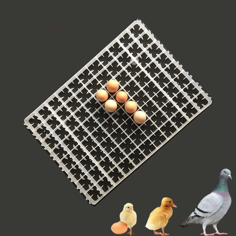 Egg Incubator Tray, Multifunction Automatic Egg Turner For 16 Duck Eggs Efficient Egg Turning For High Hatching Rate (AC110V - View #4