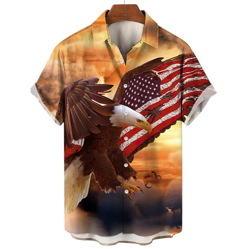 Рисунок 6 - Мужская рубашка с коротким рукавом