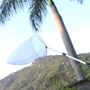 Kids for Butterfly Fishing Net Toy Biology Insect Catching Trap Net for 5