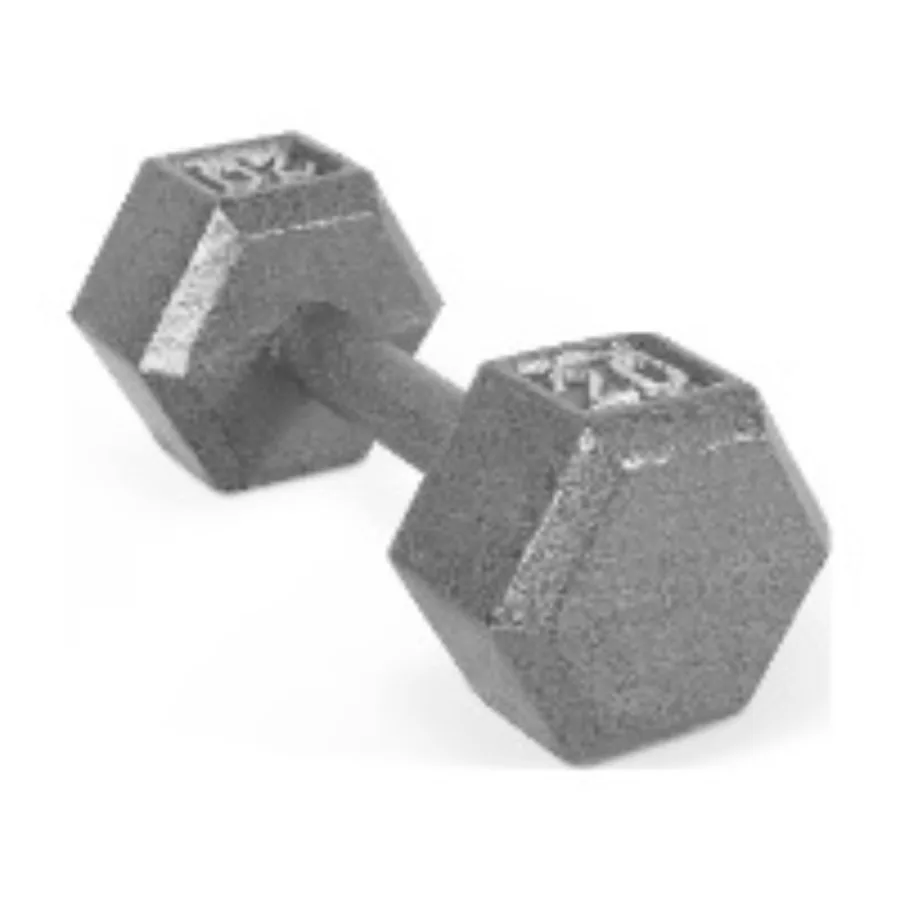 20lb Cast Iron Dumbbell 2