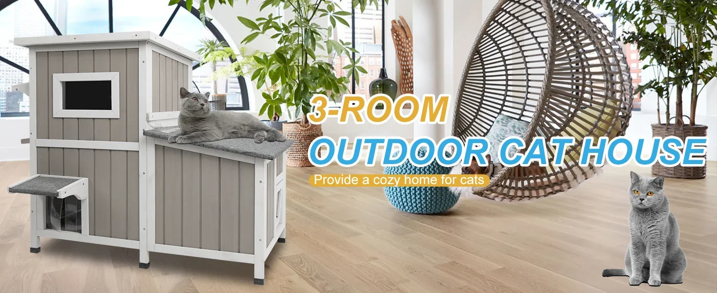 outdoor cat house