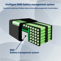 Batterie Li-ion pour moto électrique 60V 40Ah, 2000W, pour Harley, scooter électrique pliable à deux roues Citycoco, chargeur gratuit 6
