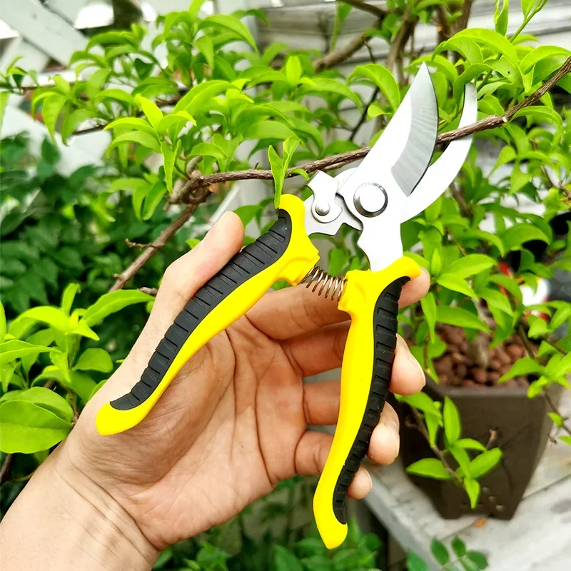 Horticultural Scissors Bird Beak Shape Branch Pruning Labor Saving Pruning Stainless Steel Picking Multifunctional Fruit Scissor