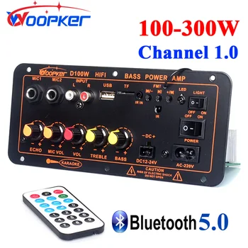 Woopker 블루투스 앰프 보드, 디지털 앰프, 듀얼 마이크 지원, MP3 플레이어, D100W, 최대 300W, 220V, 12V, 24V