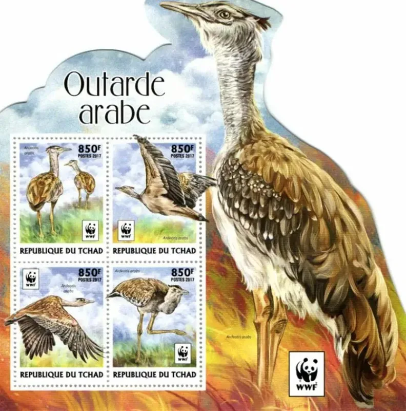 Timbro Postale Del Ciad, 2017, Uccelli Rari E In Pericolo, Wwf,Outarde Arabe, Timbro Animale, Collezione Di Francobolli, Ms Nuovo