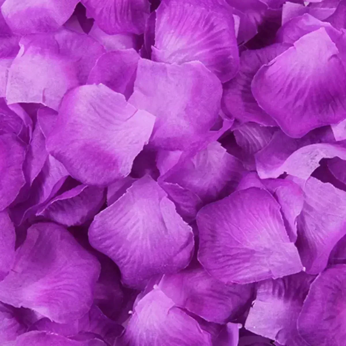 Purple Gradient