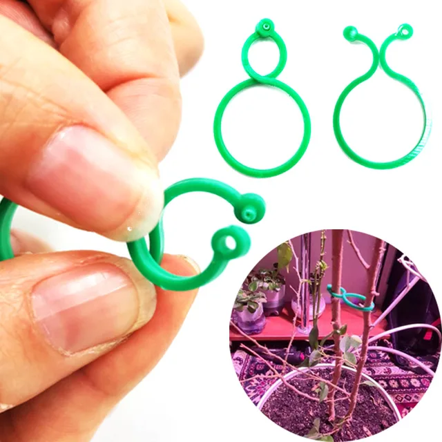 Kerti Növény Tartó Rácsos Klipek Szőlő Zöldséghez Új Paradicsom Termesztési, Függőleges Növényi Állvány Szerszám