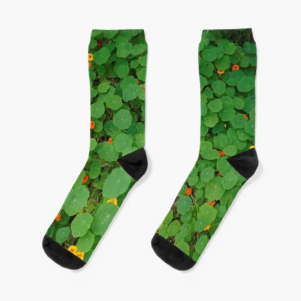 

Nasturtium mat and flowers Socks Argentina with print essential luxe Socks Girl Men's