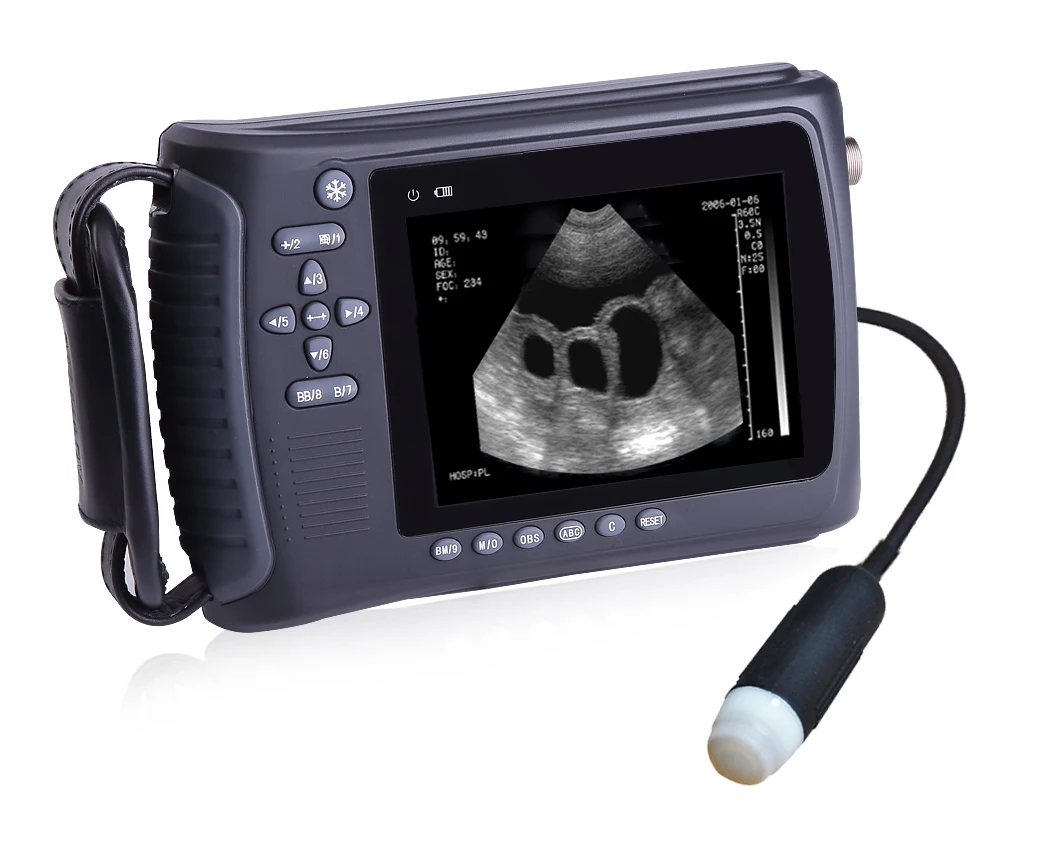 

Самый дешевый портативный ветеринарный ручной ультразвуковой сканер, ультразвуковое диагностическое оборудование для ветеринарии