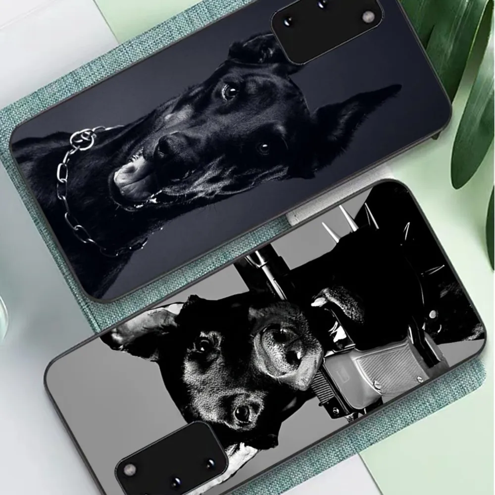 Custodia Per Telefono Cane Dachshund Doberman Animale Per Samsung S 9 10 20 21 22 23 30 23Plus Lite Ultra Fe S10Lite Fundas