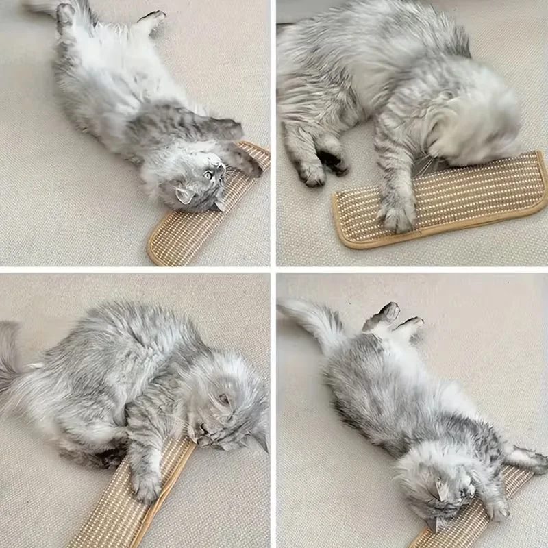Cat Scratching Toy Pillow Pad 2