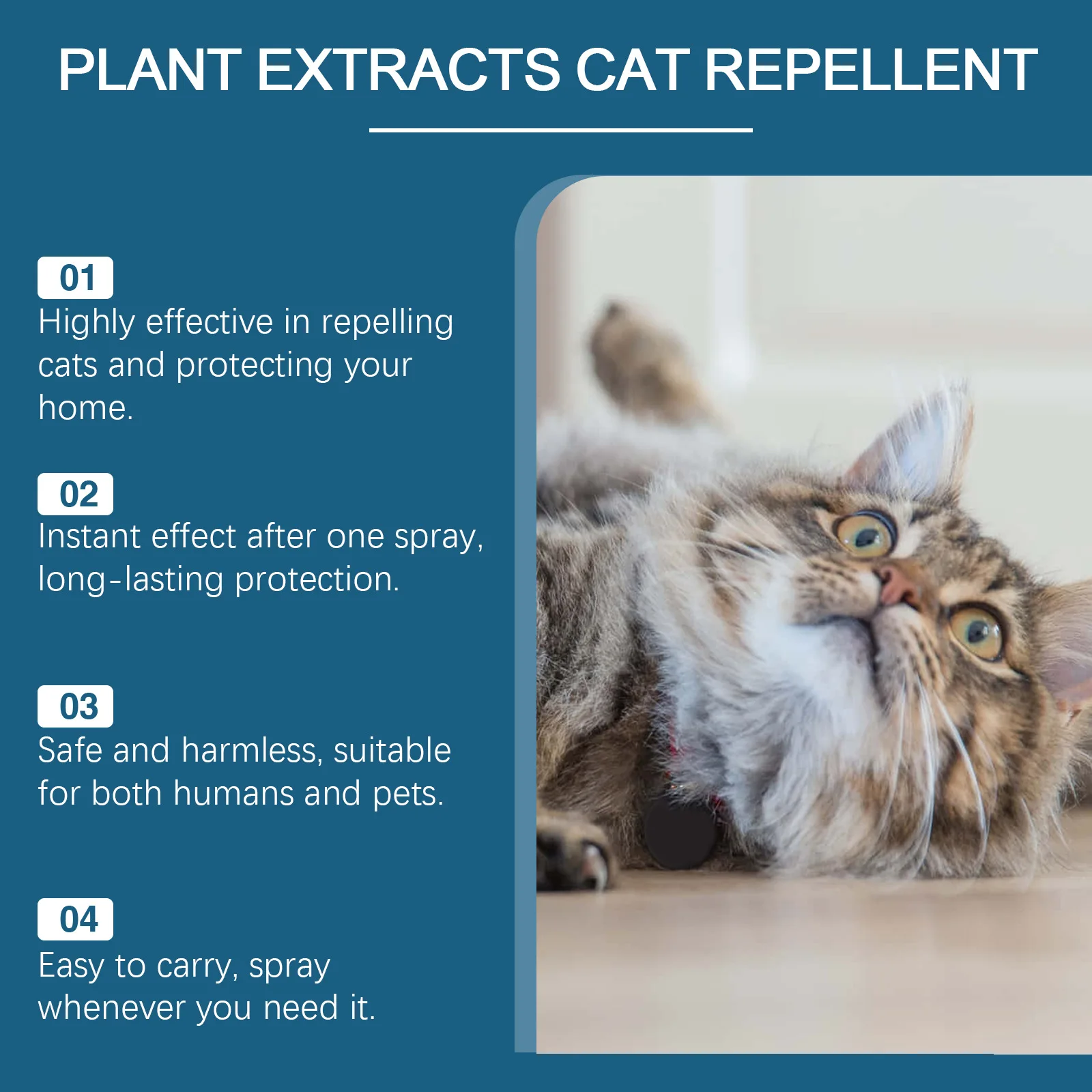Cat Repellent Spray Anti Scratch Prevent Biting Scratching Stop Sofa Chew Gnaw Corrector Furniture Protect Pet Training Liquid 3