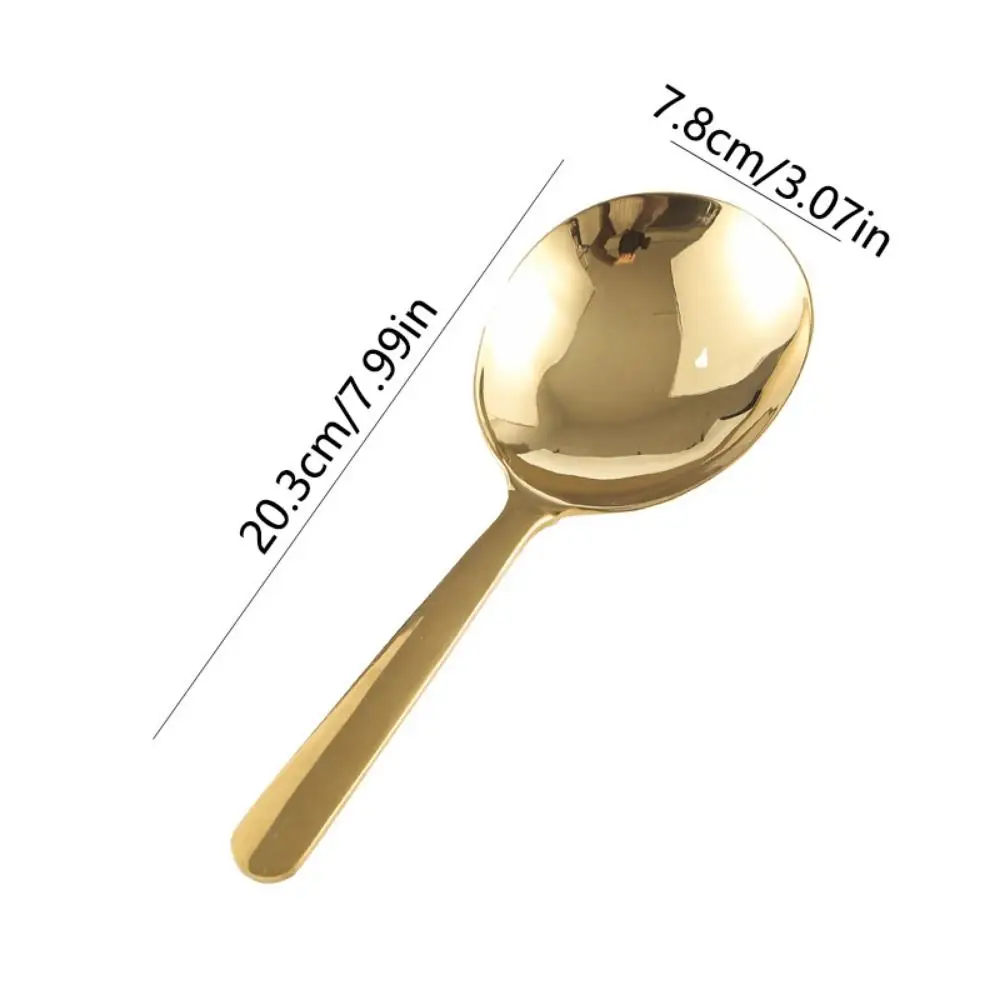 Stainless Steel Rice Serving Spoon Drain Hole Long Handle Ladle Filter Spoon Non-stick Lightweight Rice Spatula Tableware