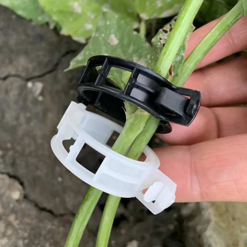 Plastic Plant Support Clips Reusable Vegetable Tomato Vines Protection Plant Clips Holder Grafting Fixing Tools Garden Supplies
